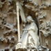 Harp